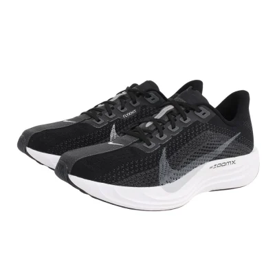 Giày chạy bộ nam NIKE Pegasus Đen (FQ7262-002)
