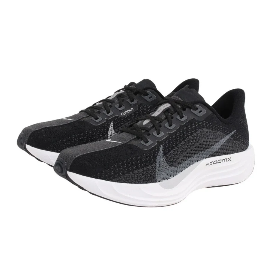 Giày chạy bộ nam NIKE Pegasus Đen (FQ7262-002)