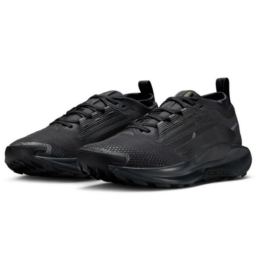 Giày chạy bộ nữ NIKE Pegasus Trail 5 Đen (FQ0912-002)
