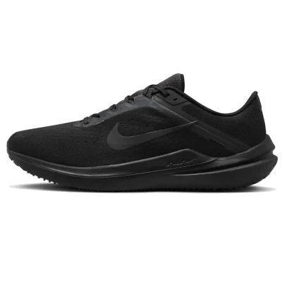 Giày chạy bộ nam Nike Winflo 10 (DV4022-001)