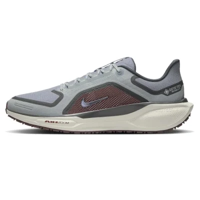 Giày chạy bộ nam Nike Pegasus 41 Gore-tex GTX (FQ1356-003)