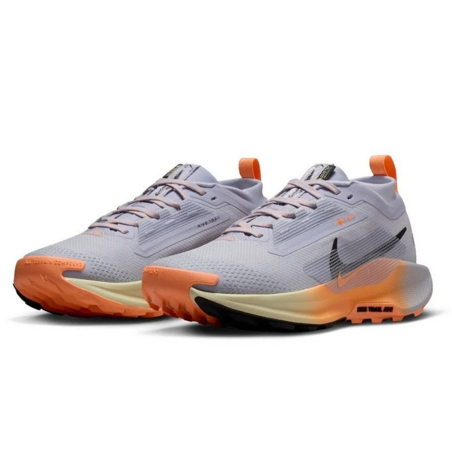 Giày chạy bộ nữ NIKE Pegasus Trail 5 Xám (FQ0912-011)